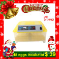 Small Automatic Reptile Egg Incubator Yz8-48